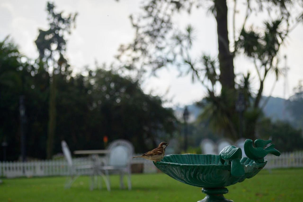 Savoy - Ihcl Seleqtions Hotel Ooty Exterior photo