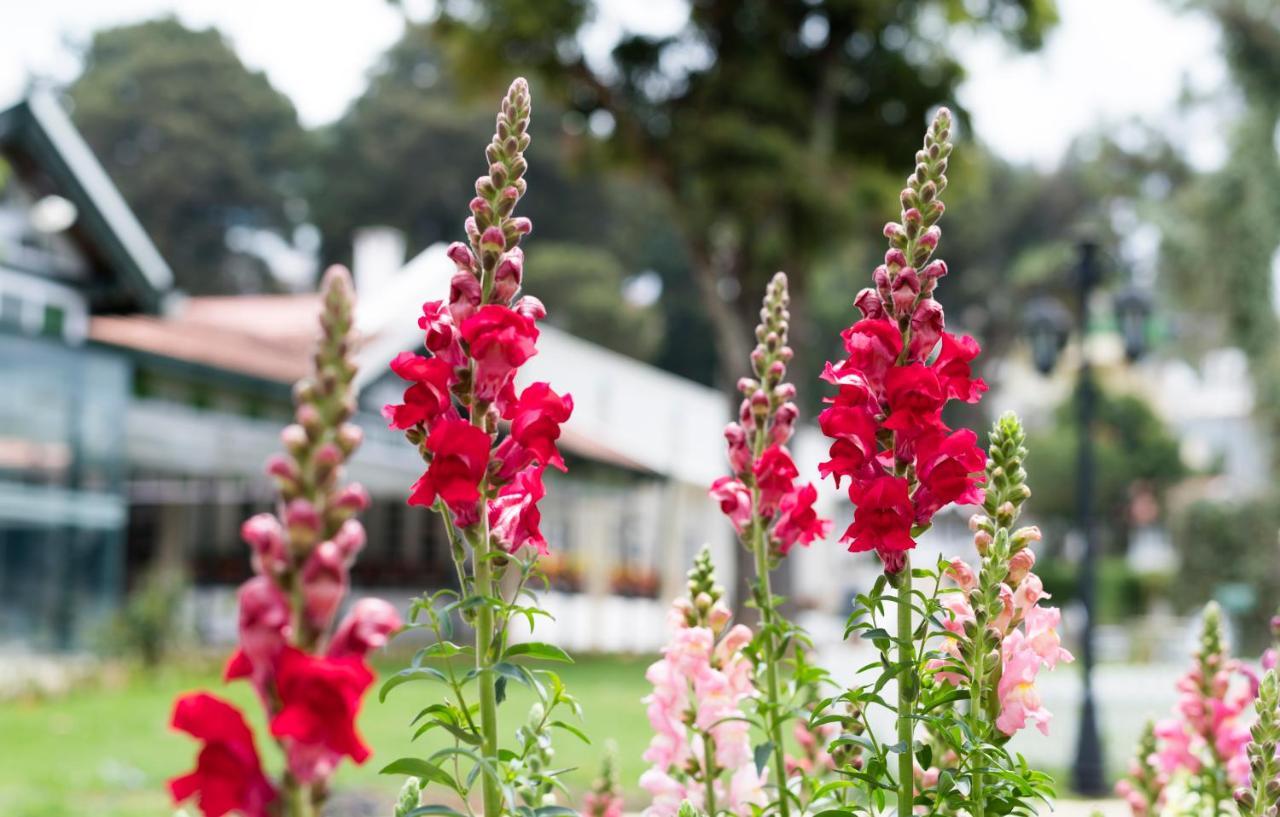 Savoy - Ihcl Seleqtions Hotel Ooty Exterior photo