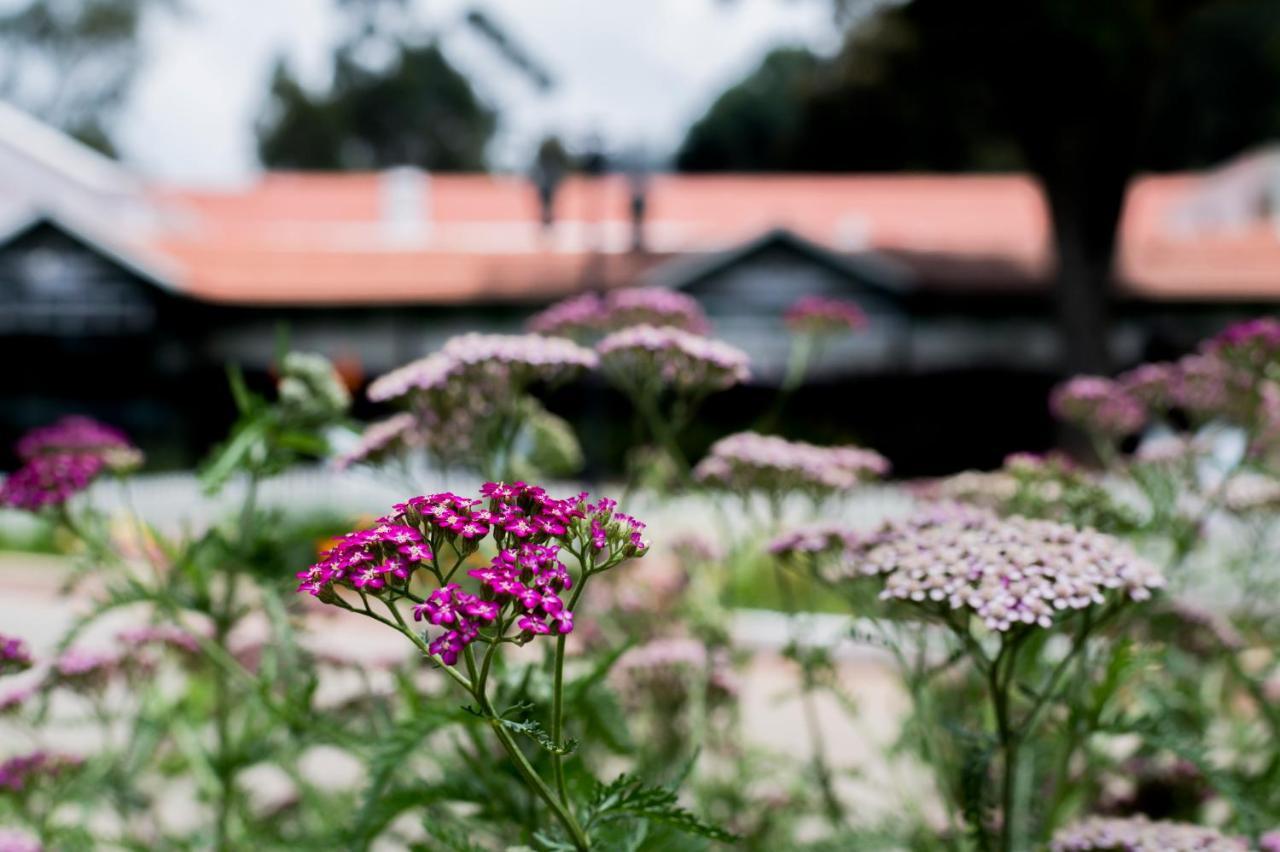 Savoy - Ihcl Seleqtions Hotel Ooty Exterior photo